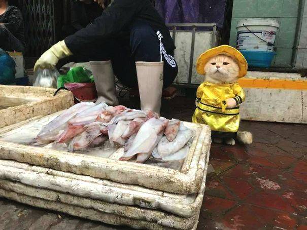 网络挑虾线什么梗