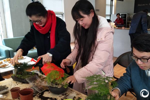 杨树蘑菇能吃吗