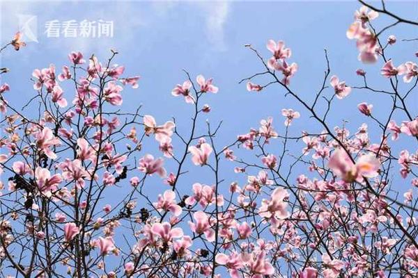 大学主持词开场白