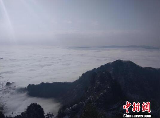 林丹奥运会