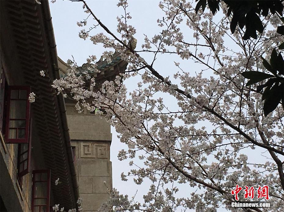 麒麟和貔貅是谁的儿子